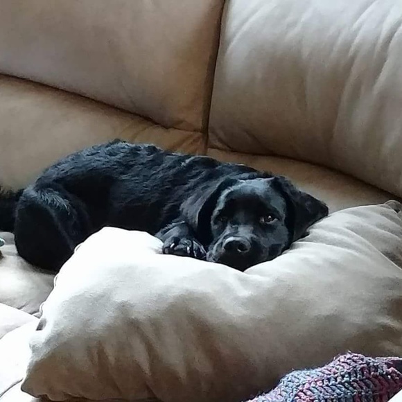 Meet Melissa - Picture 4 of 7